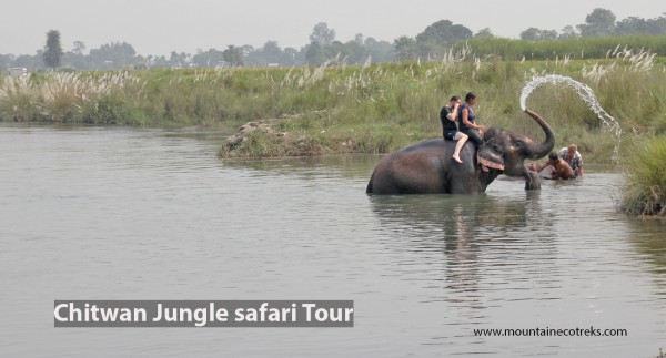 Chitwan Jungle Safari Tour