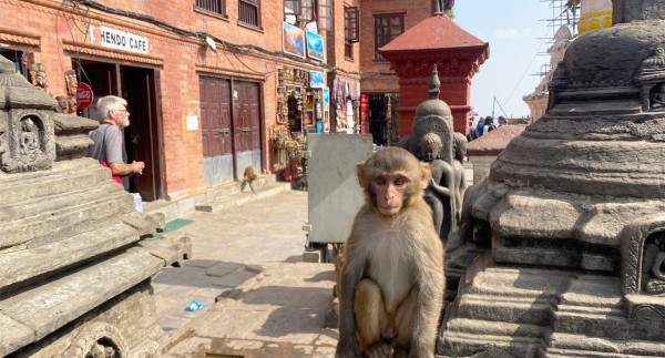 Kathmandu City Sightseeing Tour